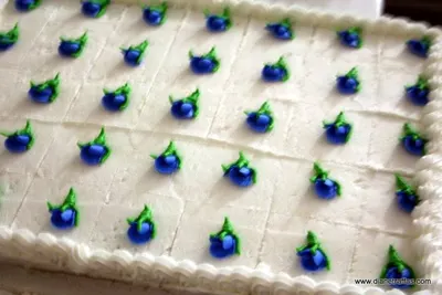 sheet cake