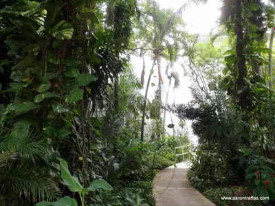 Walkway between spa and hotel