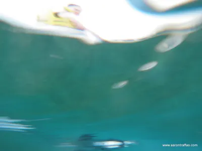 View of Diane on kayak from just below the water