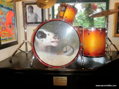 Drum set in the Hard Rock cafe used by Rush on tour (Hi, Mason!)