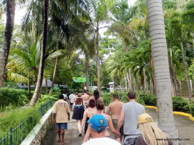 Walking in to the falls