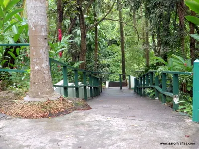Steps down to the beach