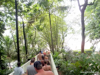 Walking down to the beach