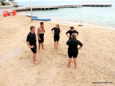The Baby Seals