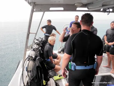 The divers about to dive