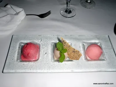 Diane's sorbet sampler